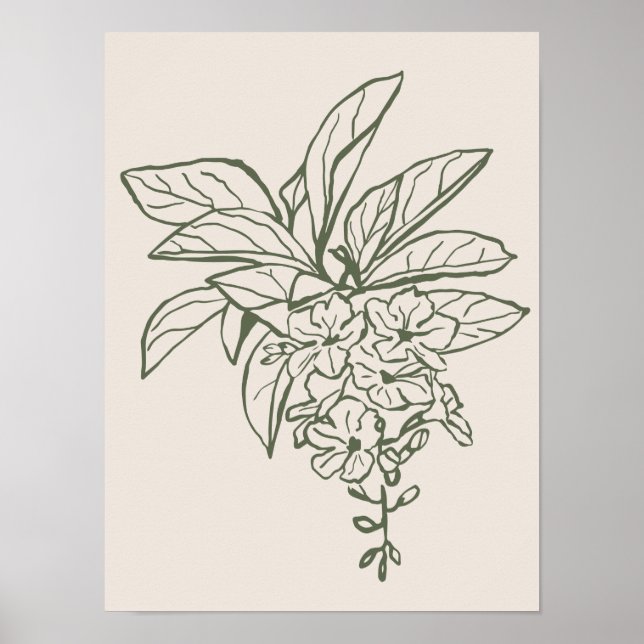 Colección de posters de arte natural (Frente)