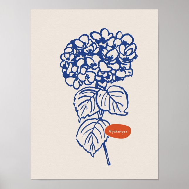 Colección de posters de arte natural (Frente)