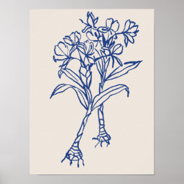 Colección de posters de arte natural