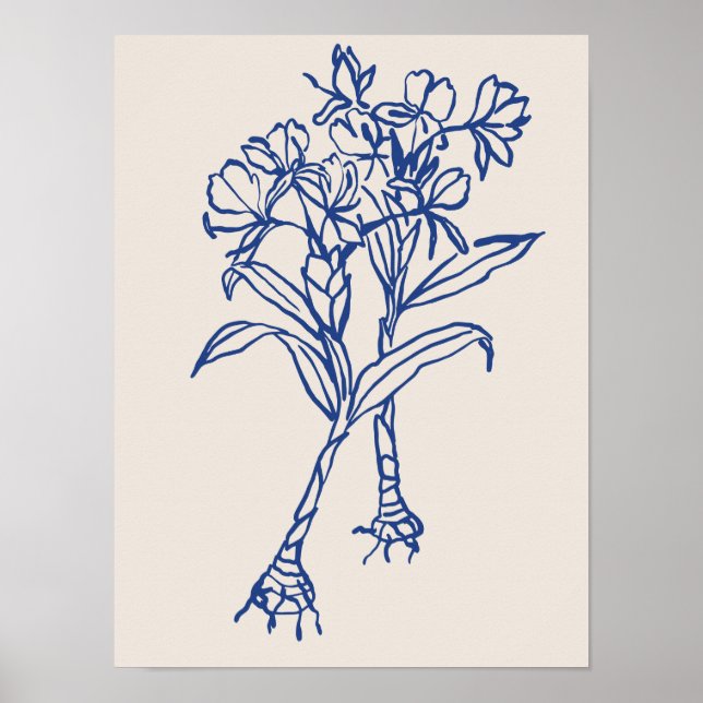 Colección de posters de arte natural (Frente)