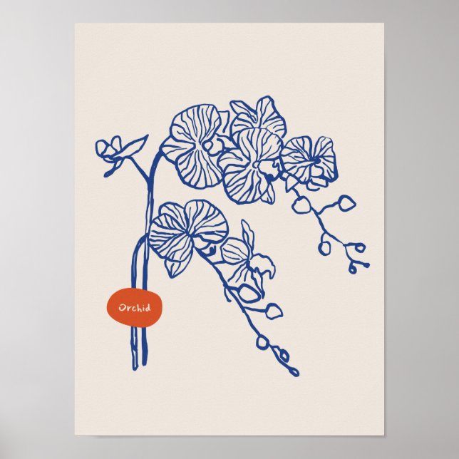 Colección de posters de arte natural (Frente)