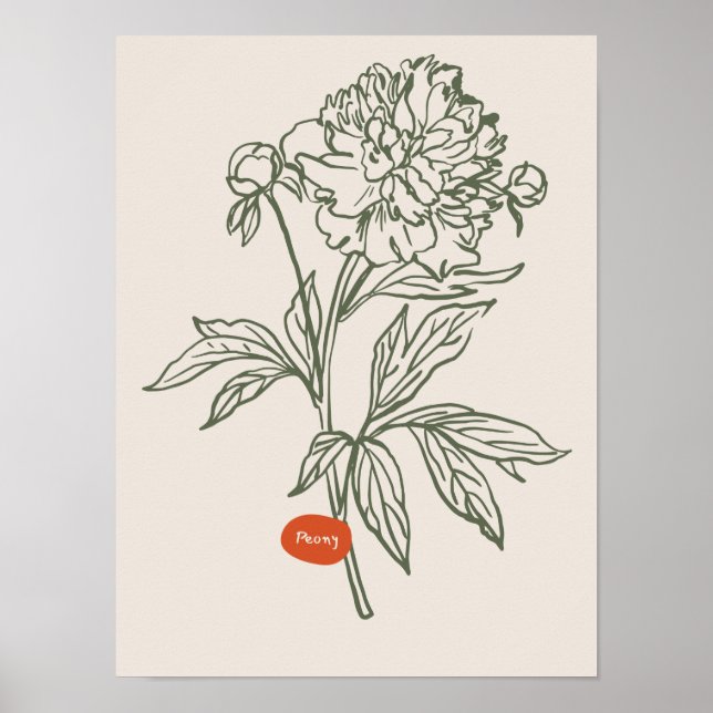 Colección de posters de arte natural (Frente)