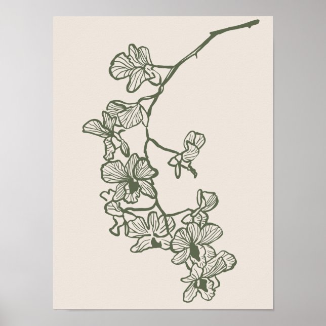 Colección de posters de arte natural (Frente)