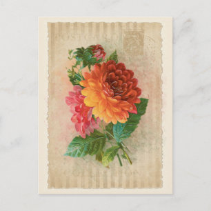 Colección de vintage de postales - Vol.4 - Postcar