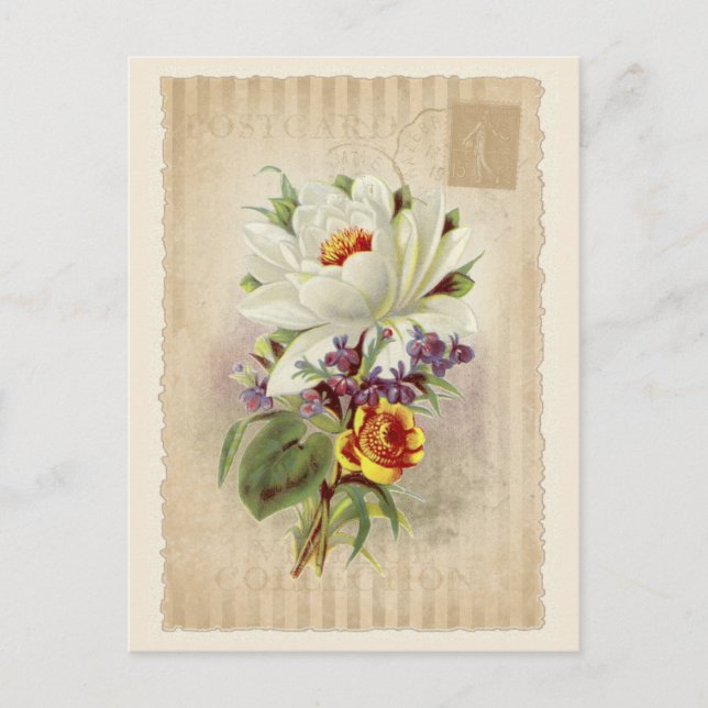 Colección de vintage de postales - Vol.6 - Postcar (Anverso)