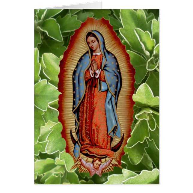 COLECCIÓN DE VIRGEN DE GUADALUPE (Frente)