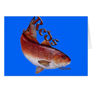 Colección del agua salada de pescados