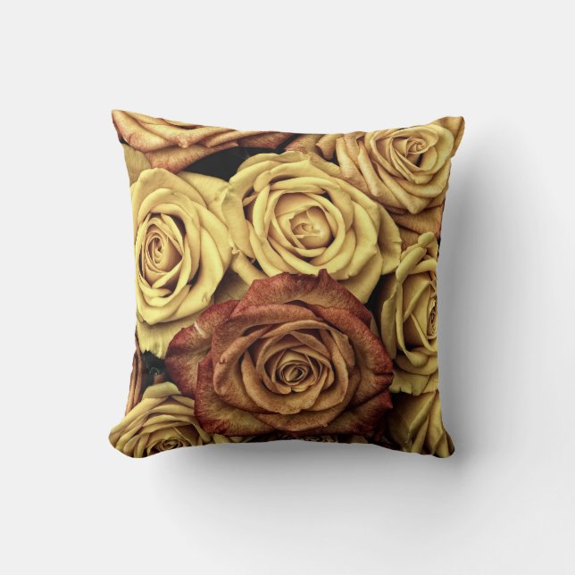 Colección del mundo antiguo - Cojín decorativo (Anverso)