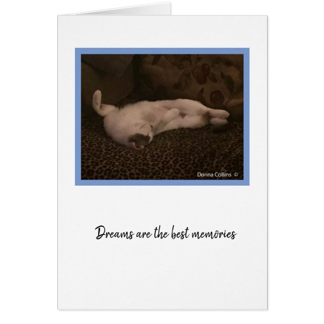 Colección KiKi #2 (Frente)