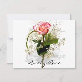 Colección Rosa encantadora