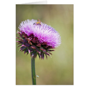 Colección "Thistle with Bee"