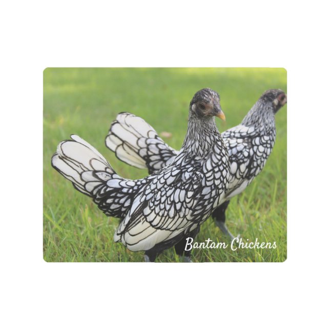 Colectores de arte mural Metalizado de pollo Banta (Anverso)