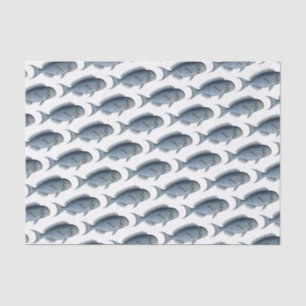 Colegio de Papel Tejido de Peces Azules