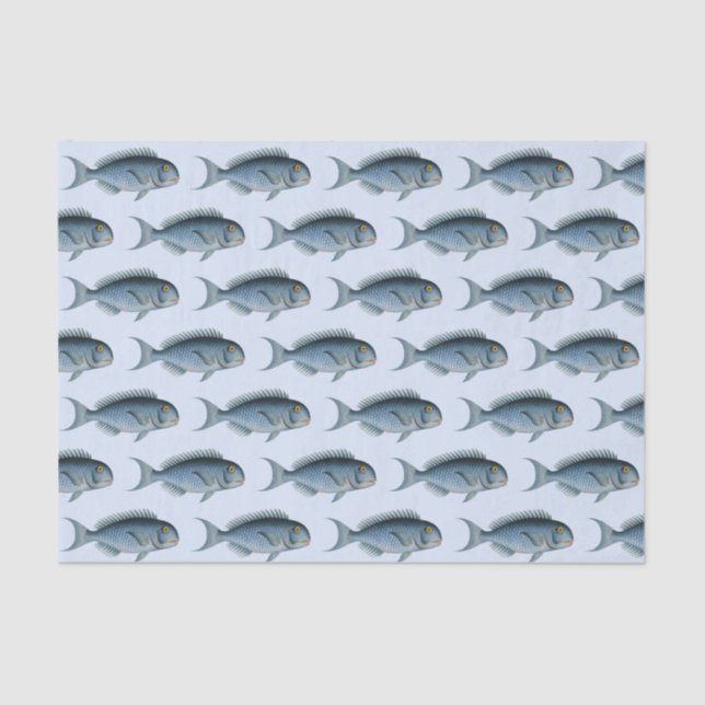 Colegio de Papel Tejido Vintage de Pescado (Anverso)