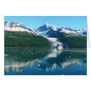 Colegio Fjord I Hermosa fotografía de Alaska