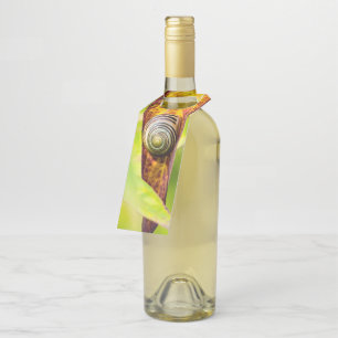 Colgador Para Botellas apego tranquilo