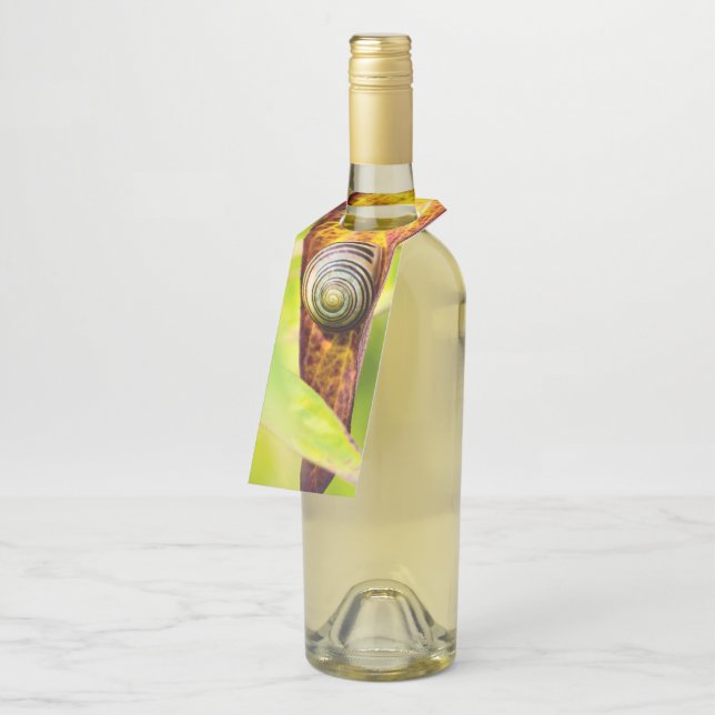 Colgador Para Botellas apego tranquilo (En perspectiva)