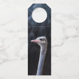 Colgador Para Botellas Fotografía de avestruz