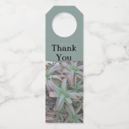 Colgador Para Botellas Nevada succulantes