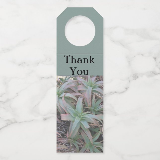 Colgador Para Botellas Nevada succulantes (Anverso)