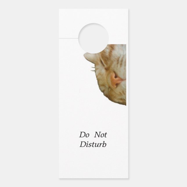 Colgador Para Puertas 文字　カスタマイズ　Don't disturb (Anverso)
