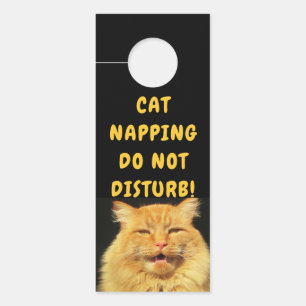 Colgador Para Puertas El gato que habla dice golpea por favor Napping