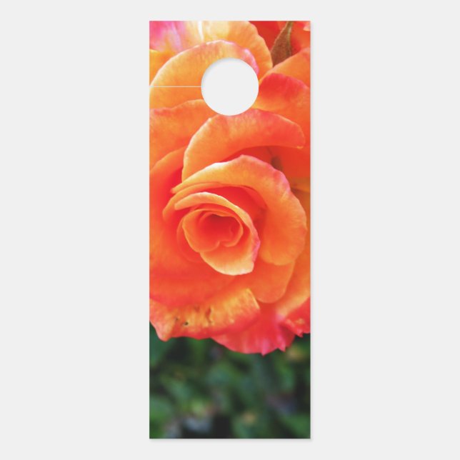 Colgador Para Puertas Flor de rosa naranja (Anverso)