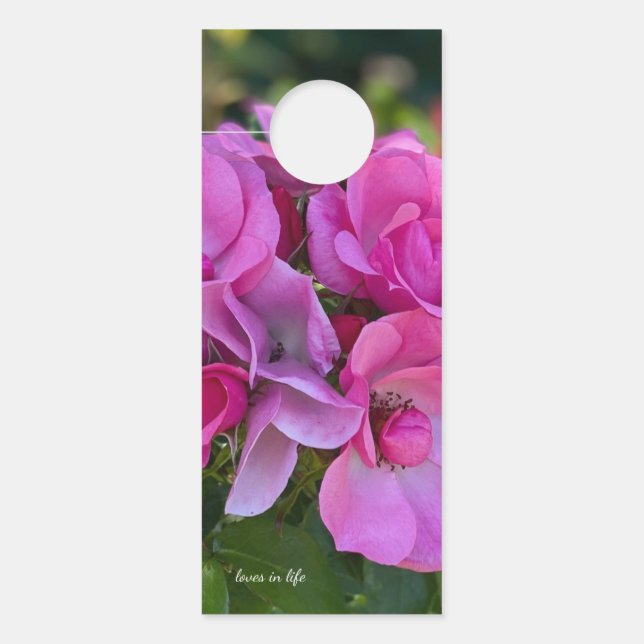 Colgador Para Puertas lavender Pink Rose (Anverso)