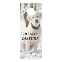 Los preciosos Pirineos Blancos