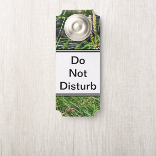 Colgador Para Puertas Pine Needles por Kenneth Yoncich