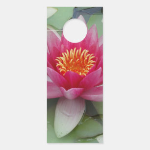 Colgador Para Puertas Pink Lotus Water Lily Doger