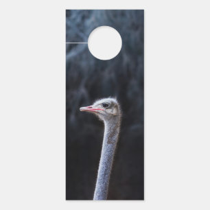 Colgador Para Puertas retrato de avestruz
