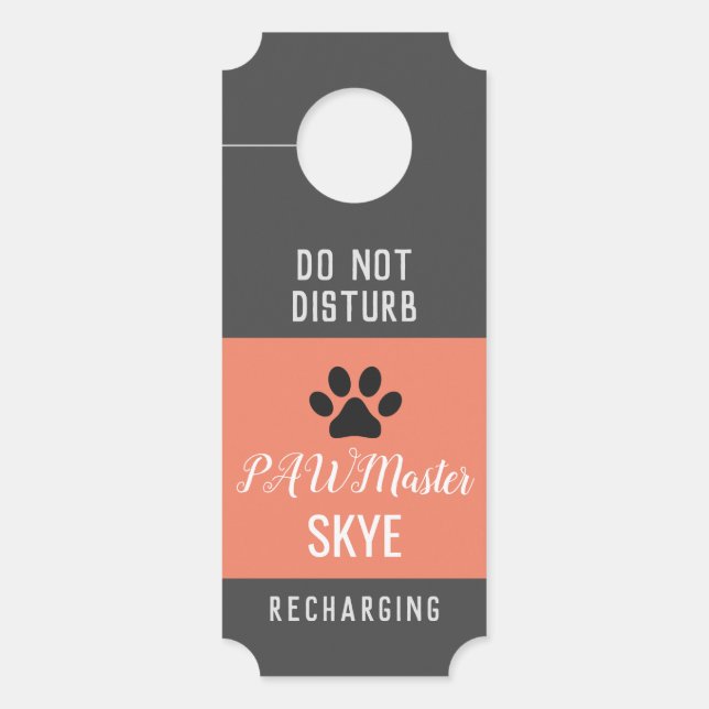 Colgador Para Puertas Salmon No Perturbe La Percha De La Puerta Del Maes (Anverso)