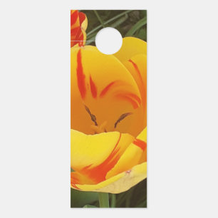 Colgador Para Puertas Tulipanes amarillos de primavera