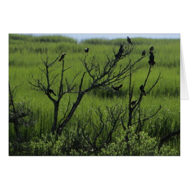 Colgante hacia fuera (Anverso (Horizontal))