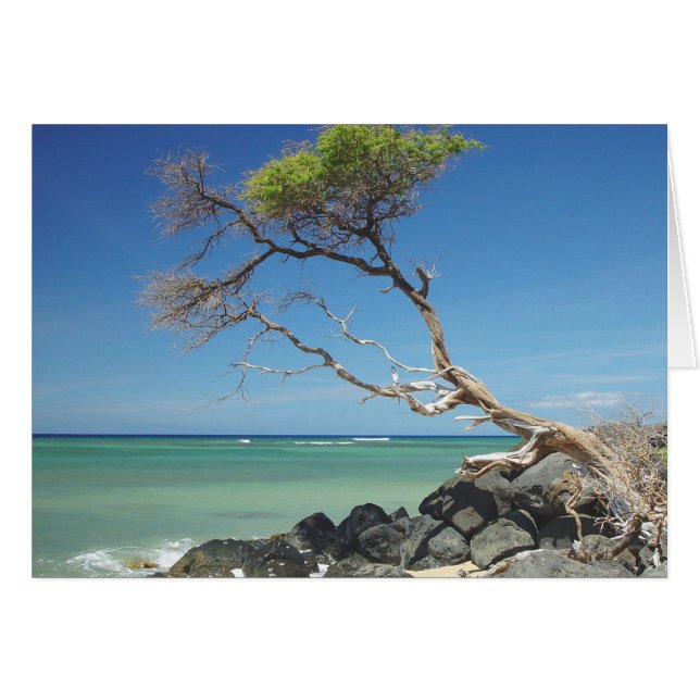 Colgar (Anverso (Horizontal))