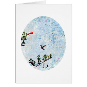 Colibrí