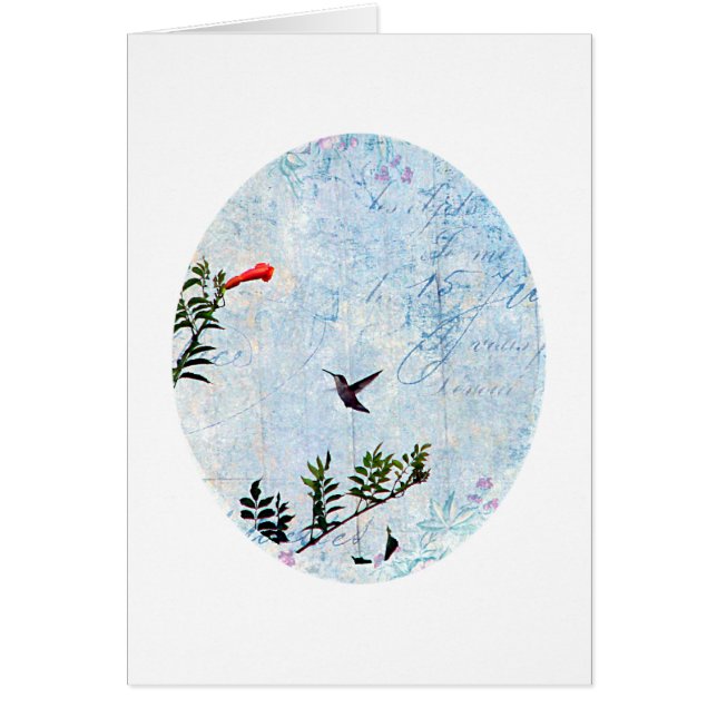 Colibrí (Frente)