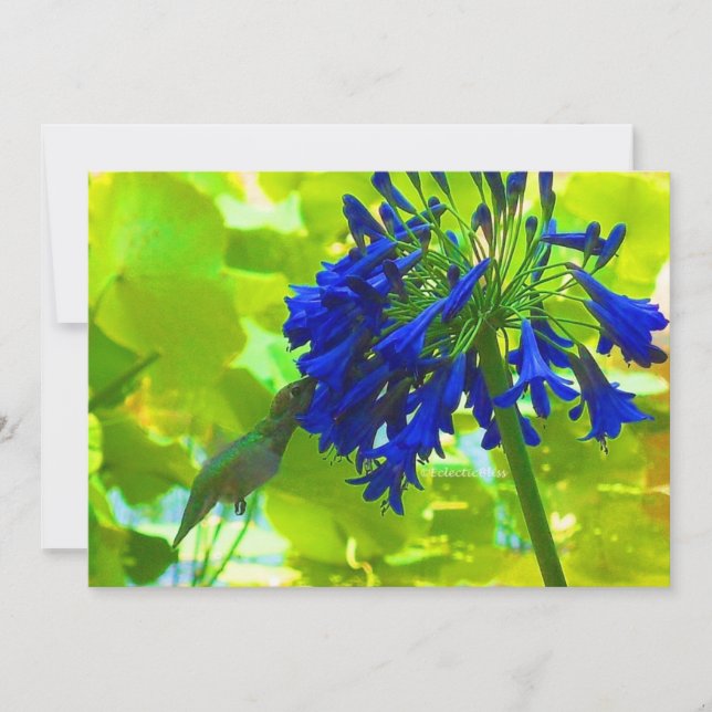Colibrí (Anverso)