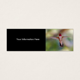 colibrí
