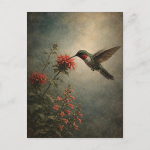 Colibrí Bloom Arte Floral de Aves Tarjeta Post