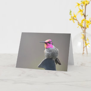 Colibrí brillante - Tarjeta de arte marco