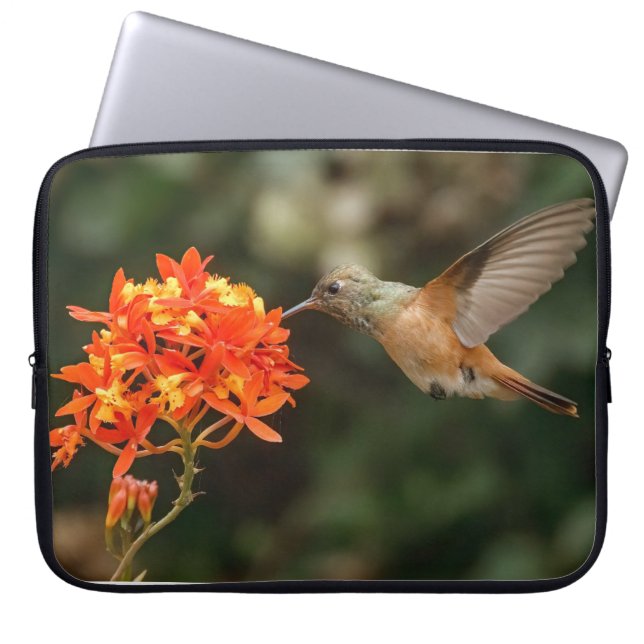 Colibrí Con Bolsa Electrónica De Flores (Frente)