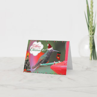 Colibrí de las Felices Navidad