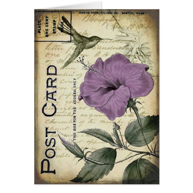 Colibrí del hibisco del vintage (Frente)