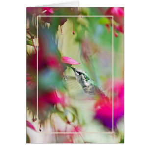 Colibrí en suave fucsia vertical.