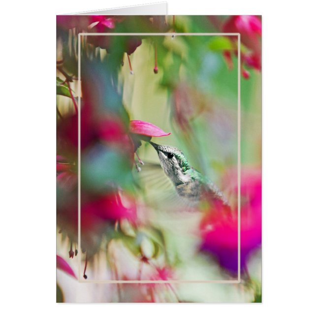 Colibrí en suave fucsia vertical. (Frente)