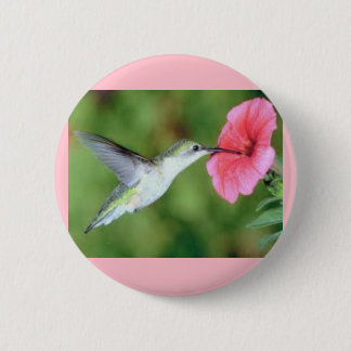 Colibrí en un botón redondo