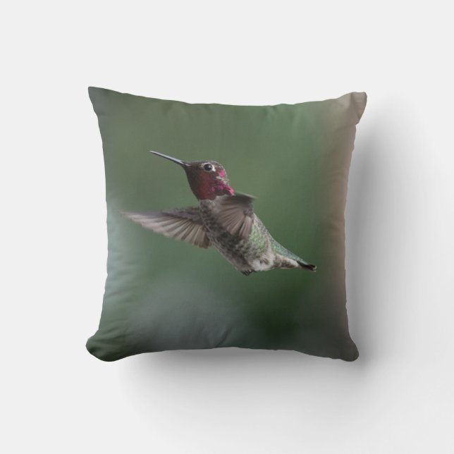 Colibrí en una almohada con decir de Apache (Anverso)