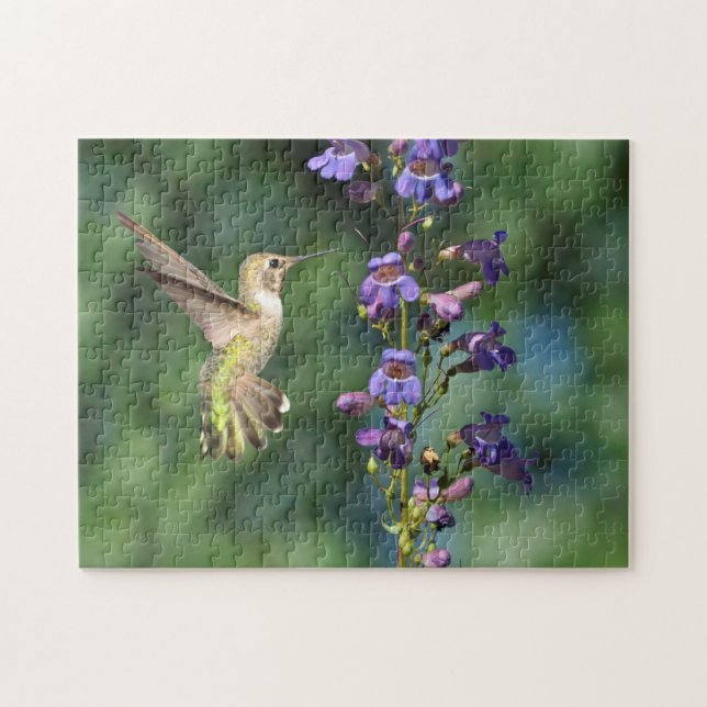 Colibrí en vuelo con rompecabezas florido (Horizontal)